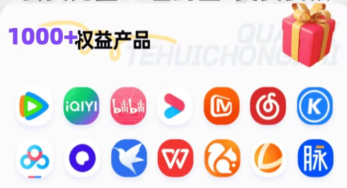 虚拟会员代理平台架构